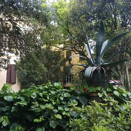 Apartament Pintino Garden *