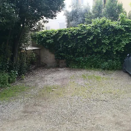 Pintino Garden